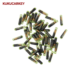 ID48 Transponder Chip Car Key Chip Blank(after market)